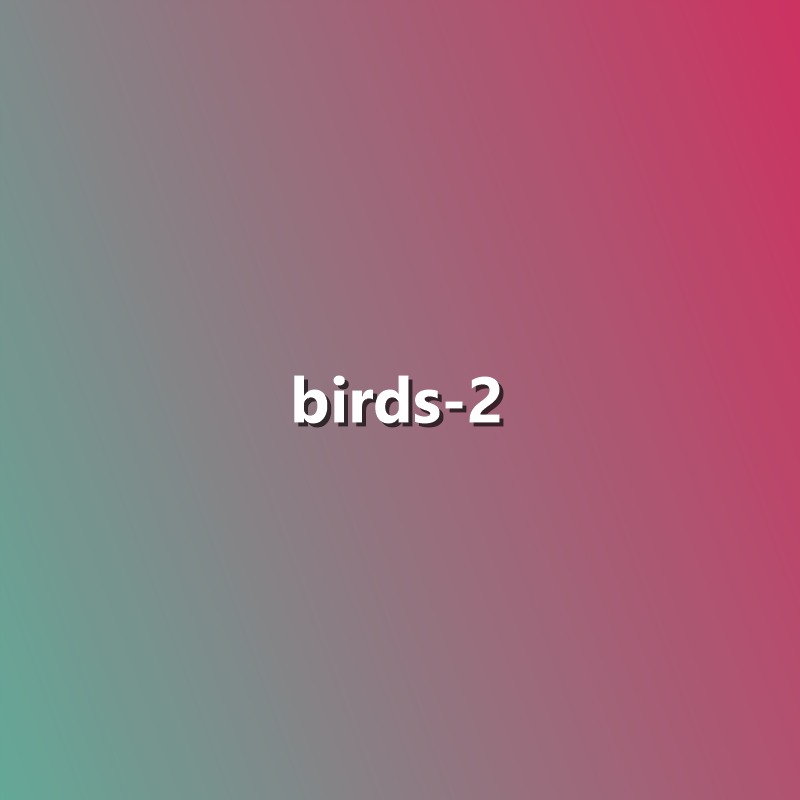 Birds - 2