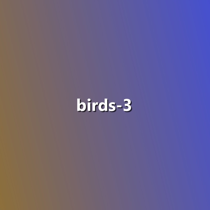 Birds - 3