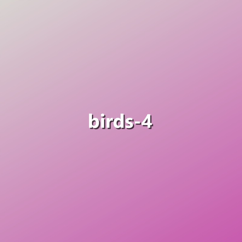 Birds - 4